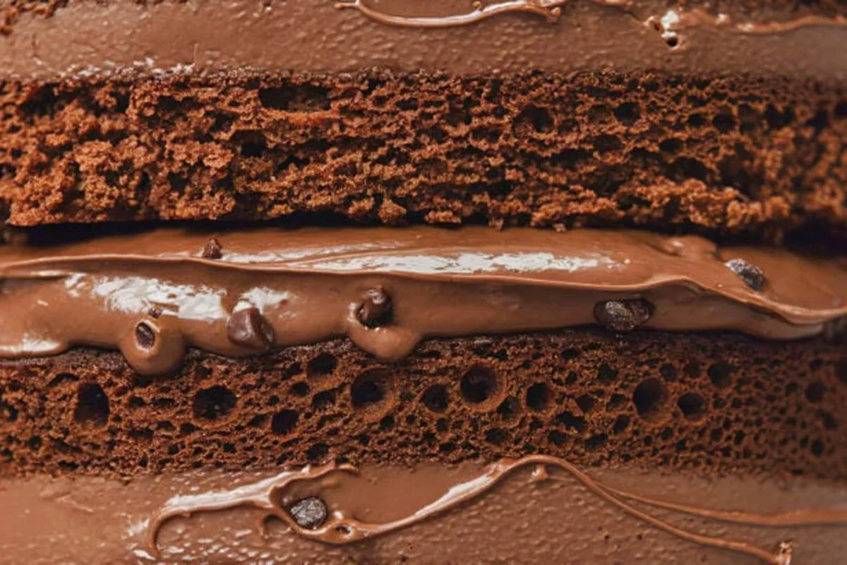 Descifrando el misterio de la fermentación del cacao